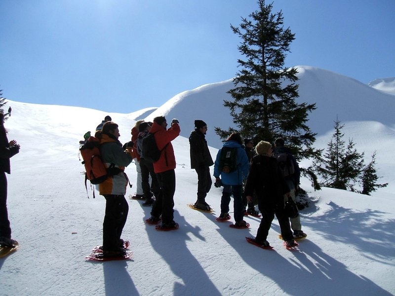 A group on snowshoes