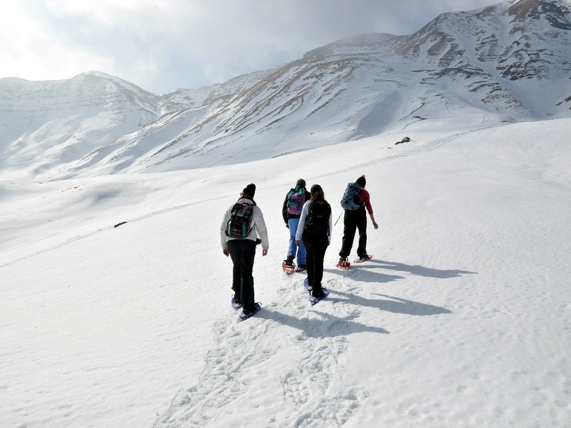 Group on snowshoes and white landscape