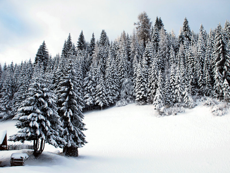 Winterliche Landschaft