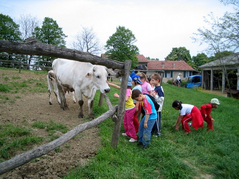 Children and cow
