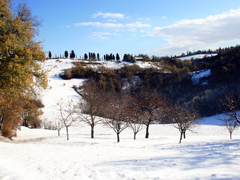Dolina della Spipola con neve