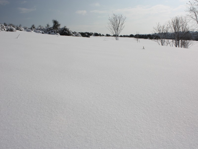 Panorama invernale