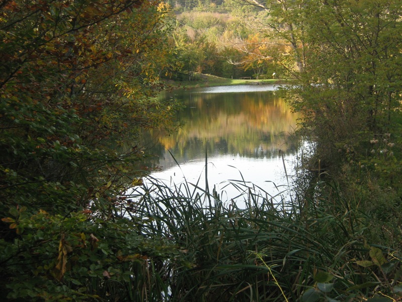 Bocco small lake