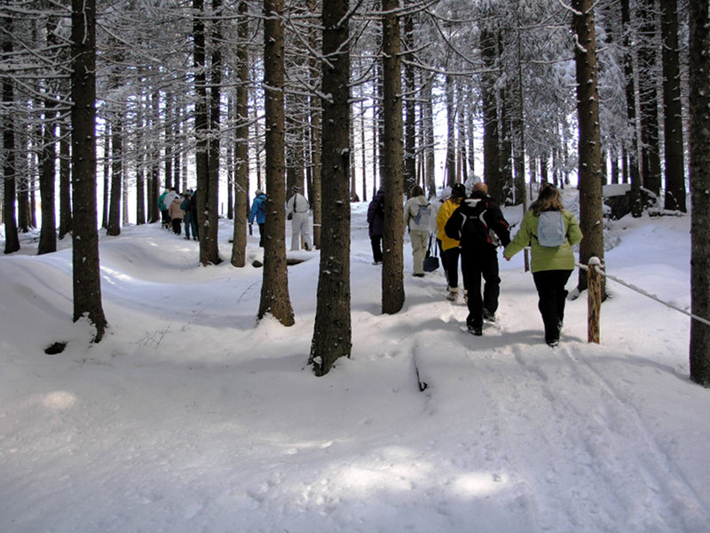Visitatori lungo il sentiero Marciò d'inverno