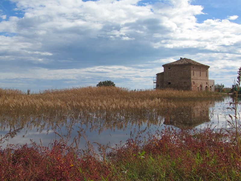 The wetland and the historic building