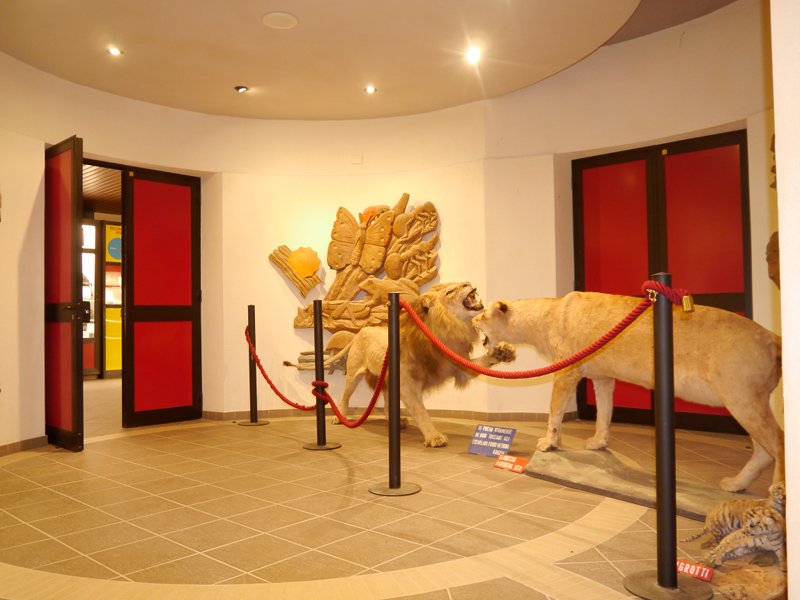 L'atrio del Museo scientifico Don Bosco a Lombriasco