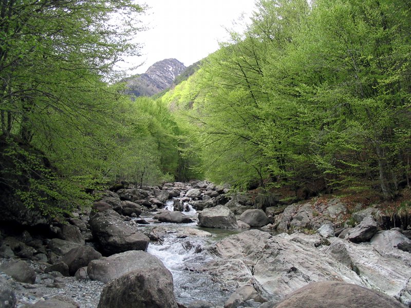Vigezzo Valley's area