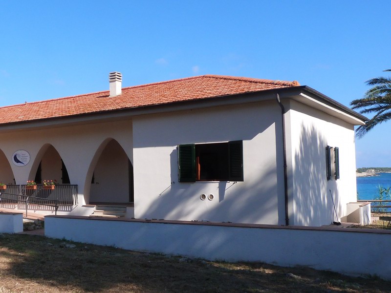 Park house in Pianosa