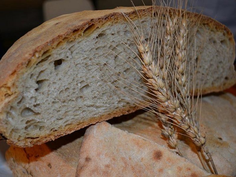 Russulidda and Ianculidda wheat
