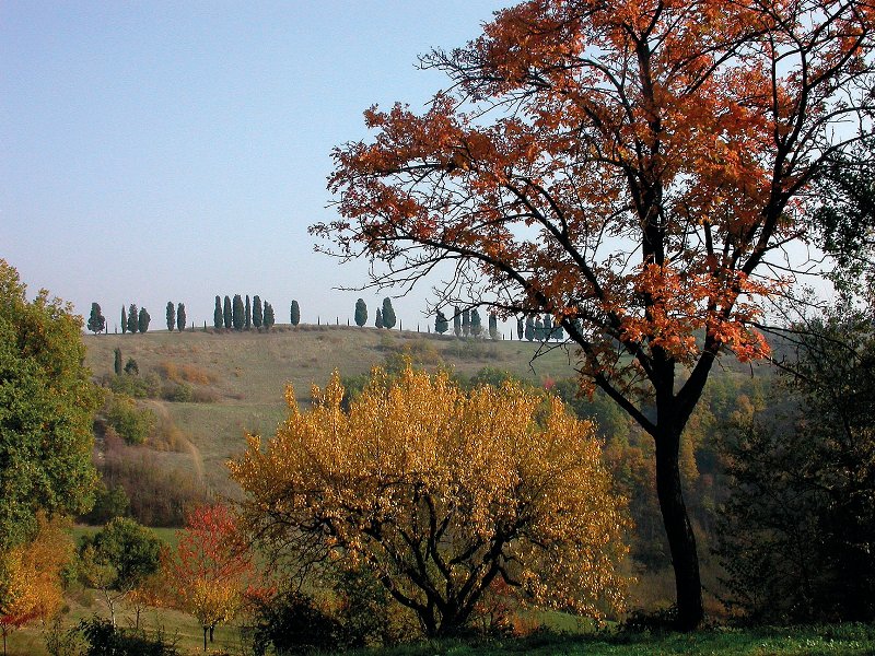 Autunno in Spipola