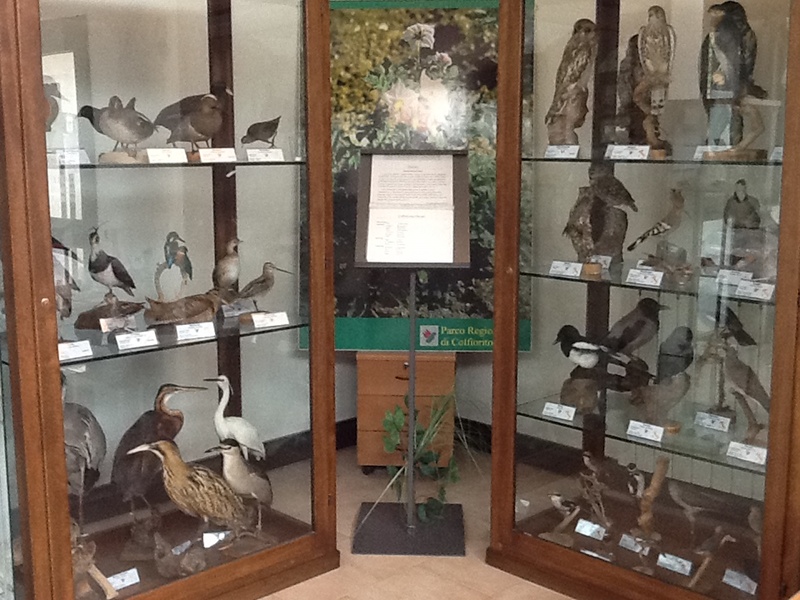 Naturalistic Museum of the Colfiorito Park