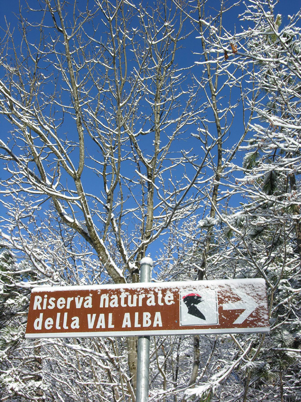 L'inverno in Val Alba