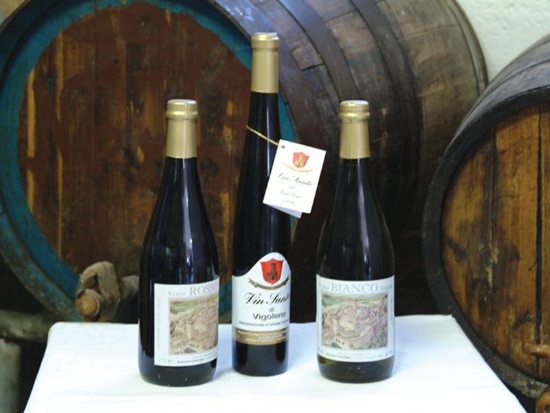 Wines from the Colli Piacentini