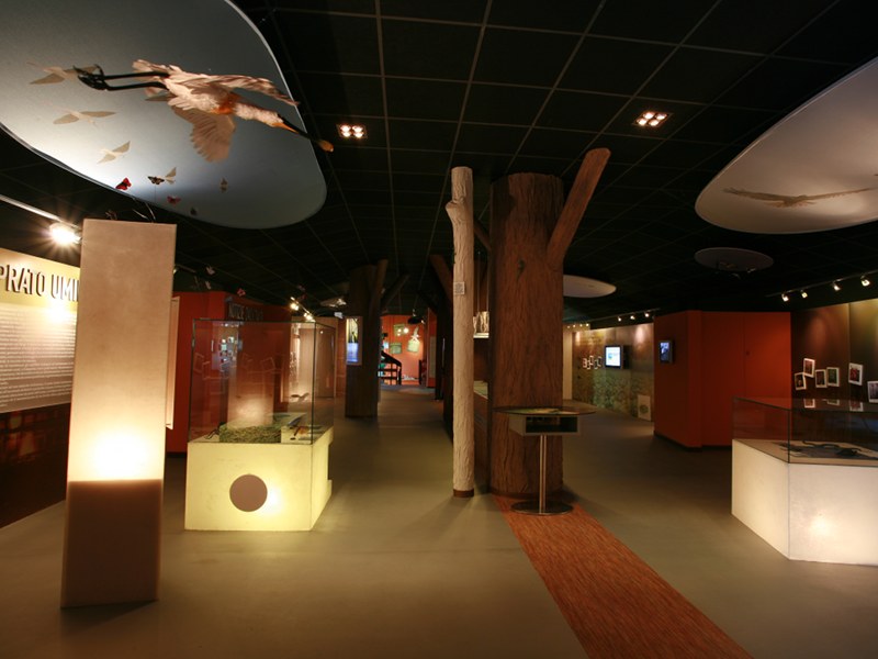 Museum der Lagunen von Argenta, erster Stock
