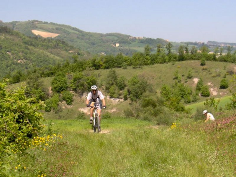 Ciclovie dei Parchi - The Gessi di Gaibola Cycling Route