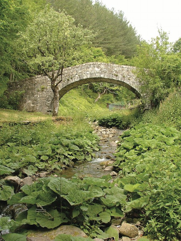 Il ponte medievale in pietra sul fosso di Serravalle