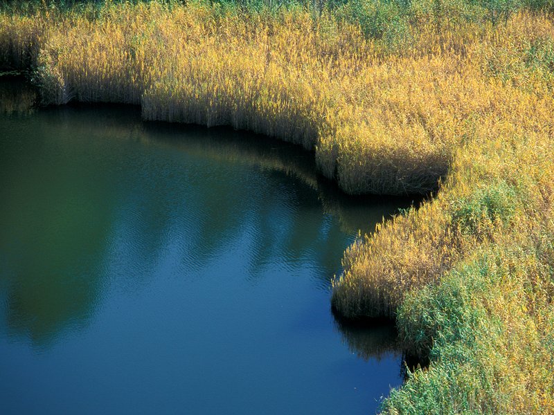 Riserva naturale Lago di villa