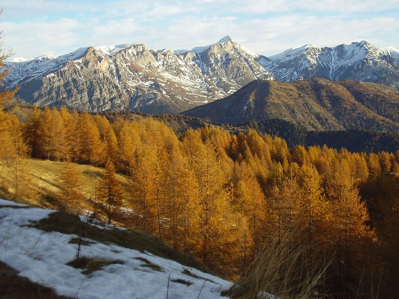 Foliage sulle Alpi Liguri