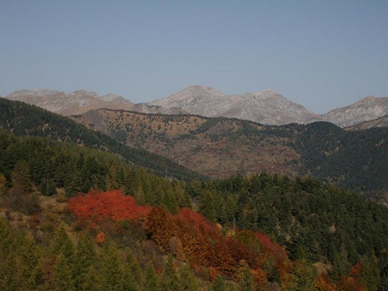 Autunno in Val Tanarello