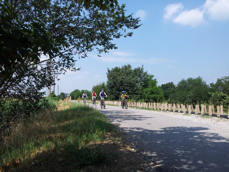 Tratto del percorso ciclopedonale lungo il canale Diversivo Mincio tra Mantova e Soave