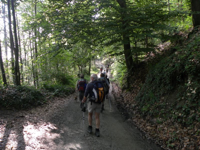 Escursionisti nella Riserva del Bosco del Vaj