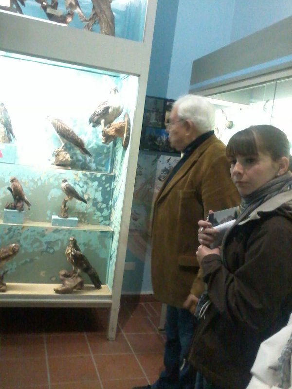 Ecomuseum Valli Oglio Chiese, indoor