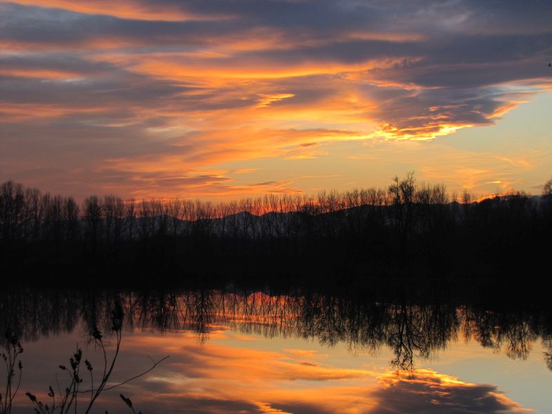 Cirri al tramonto riflessi in un lago di cava nella Riserva dell'Oasi del Po Morto