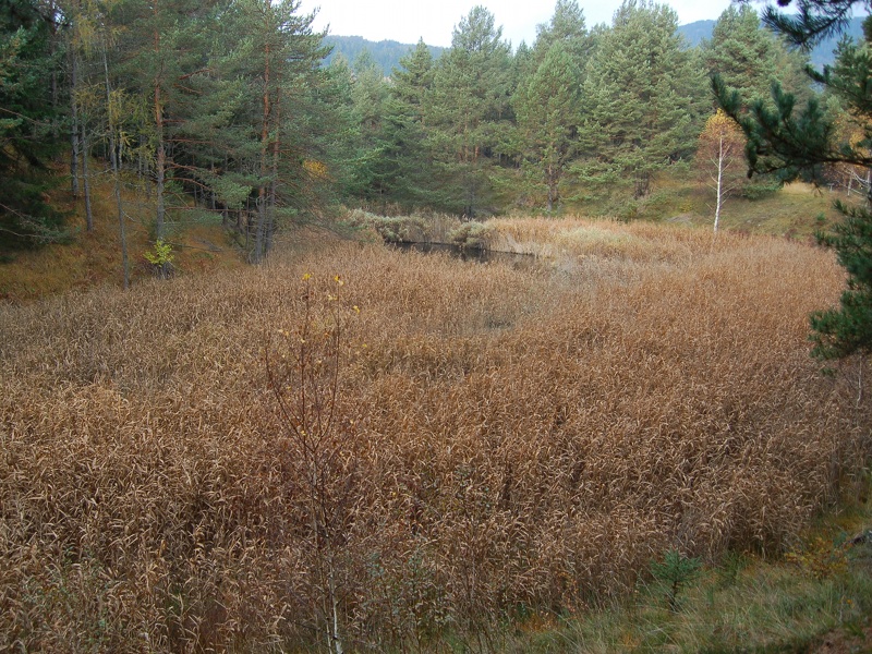 Brozin Local Reserve