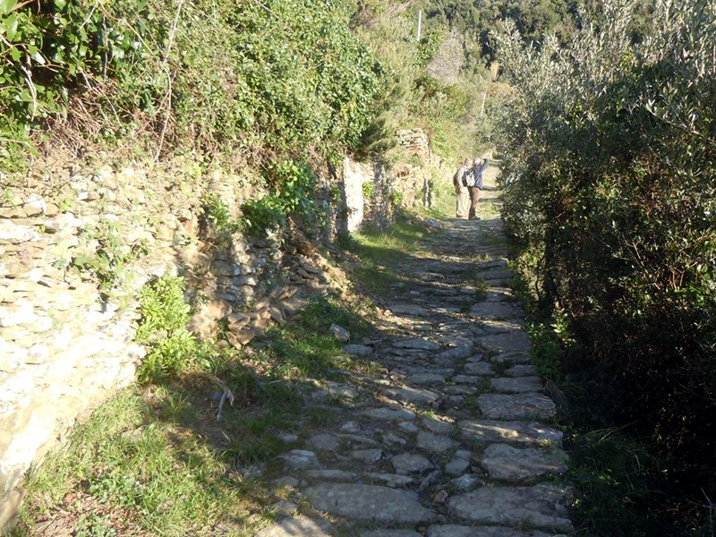 Route 508 (former no. 8) Vernazza - Foce Drignana