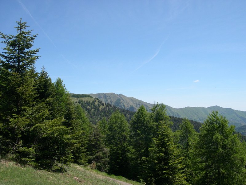 Cime e boschi delle Alpi Liguri