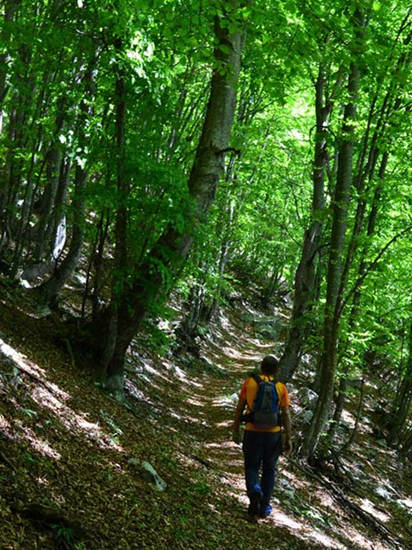 CAI Path No. 805, Val Canzoi, Finestra