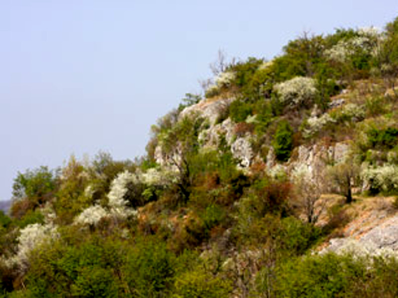 Spring karst landscape in the surroundings of the Gradina visitor center
