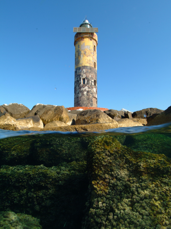 Meloria Lighthouse