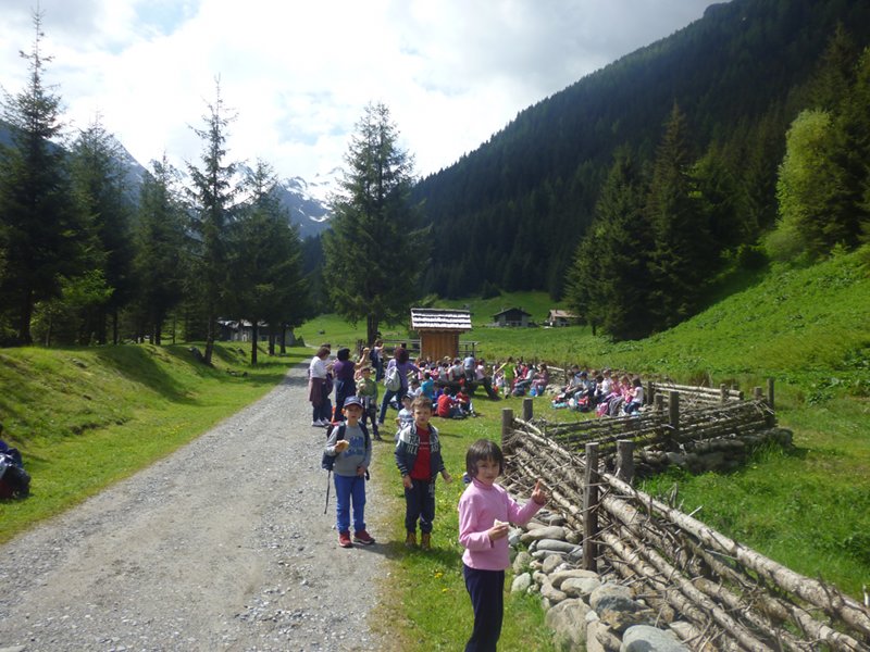 Studenti in visita alla pozza degli anfibi in Val Brandet