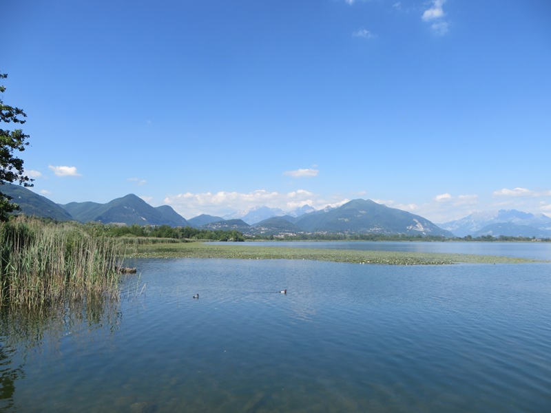 Alserio Lake