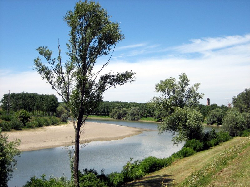 Marcaria River