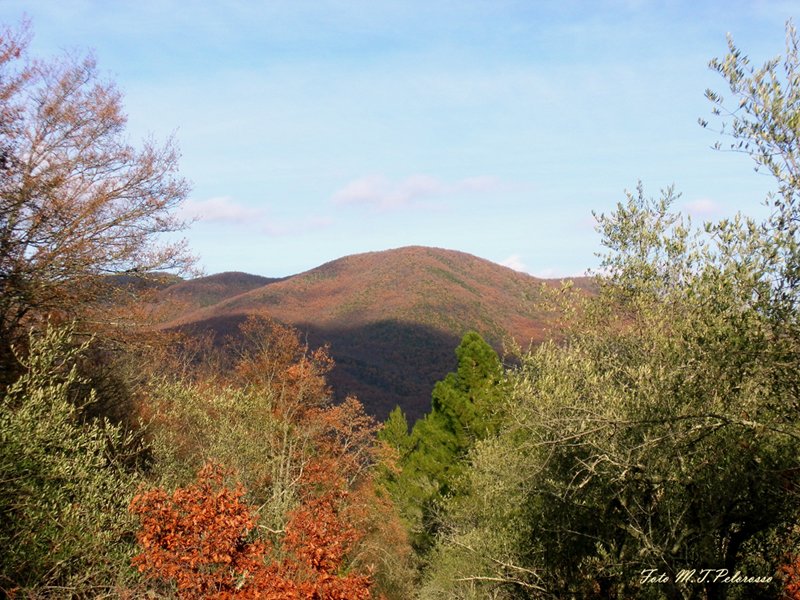 Panorama di Monte Rufeno