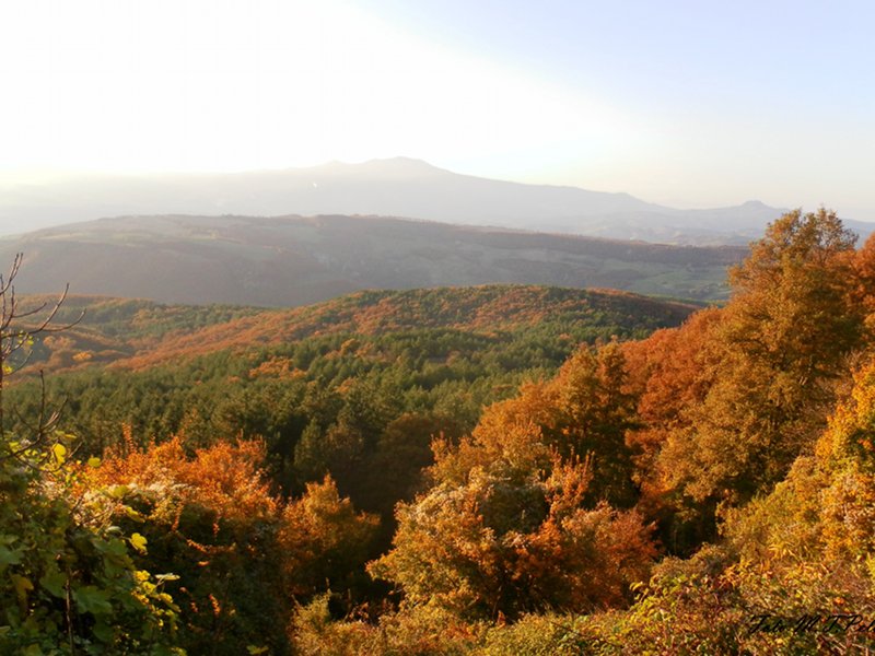 Panorama da Monte Rufeno