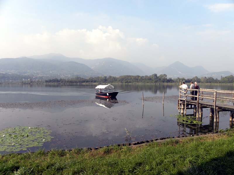 Ecosistema lago di Alserio