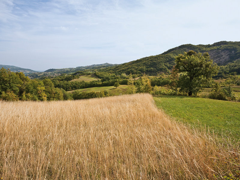 The agricultural mountain landscape