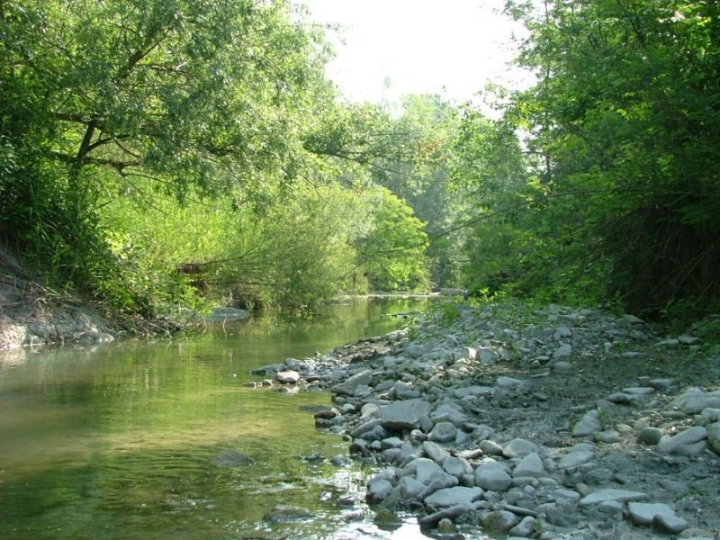 Stirone - river's gravel bed and riparian wood