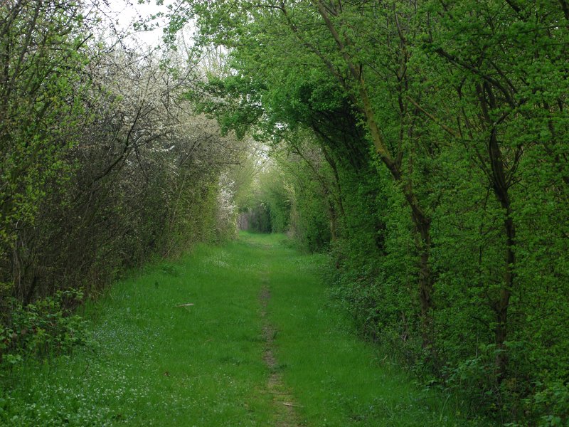 Route in the Reserve - Photo archive