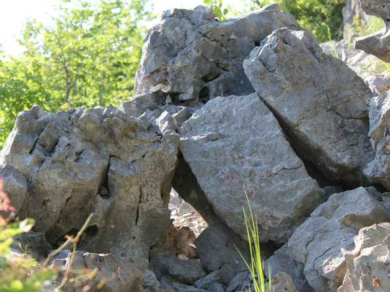 Calcareous rocks