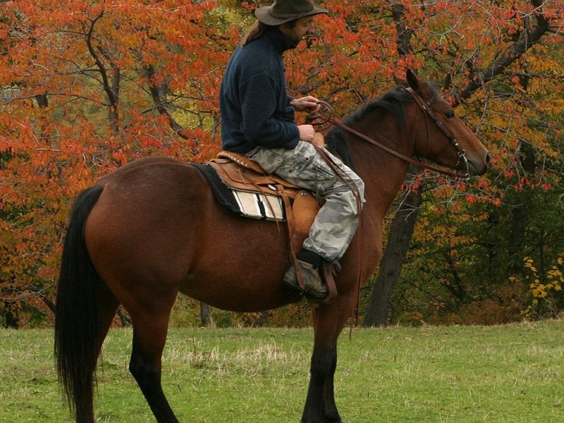 Horse-riding in autumn