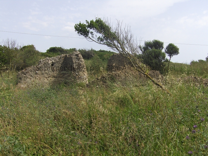 Rio Martino archaeological area