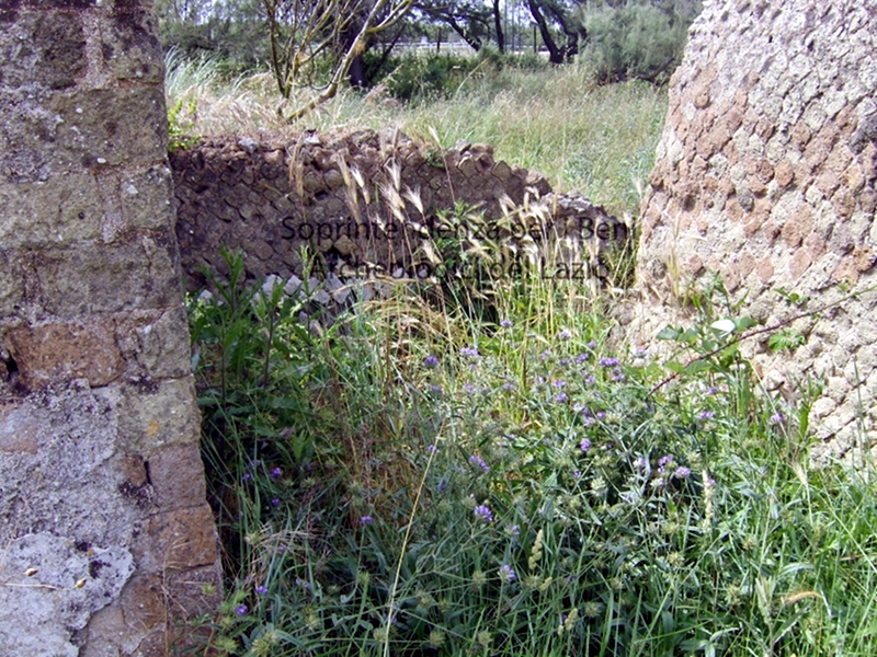 Rio Martino archaeological area