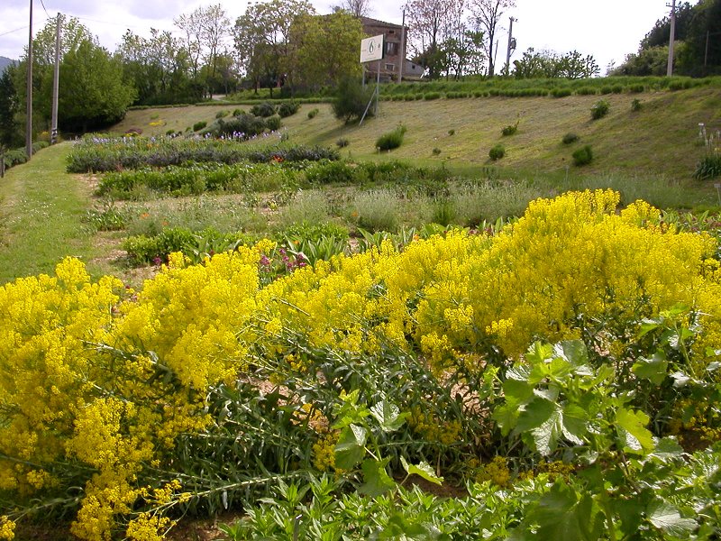 Herb Garden of Casola Valsenio