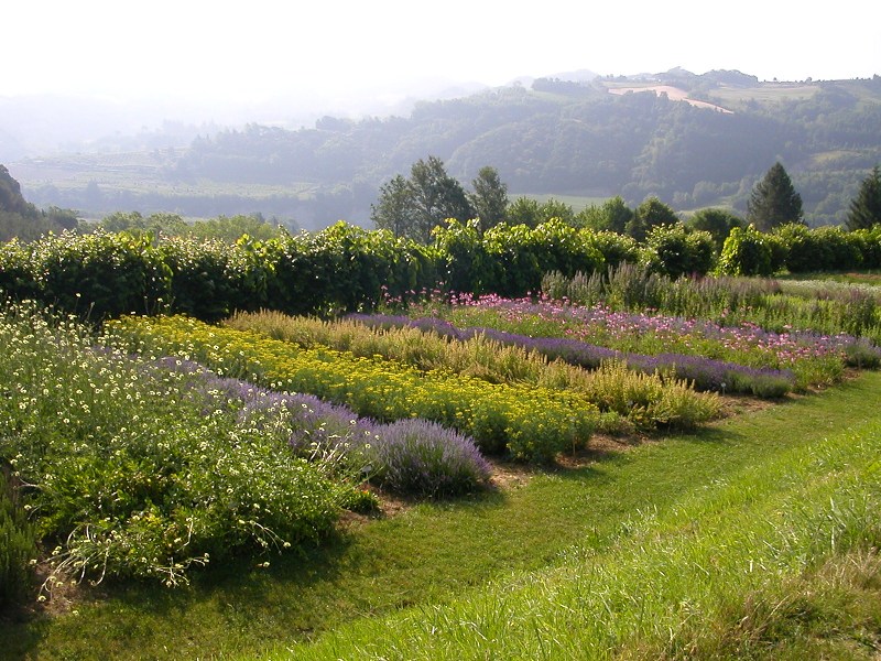 Herb Garden of Casola Valsenio