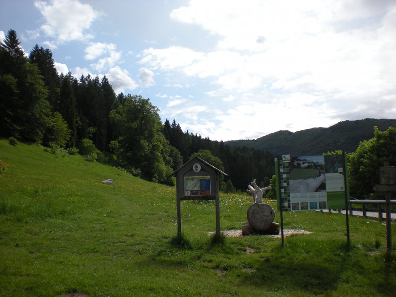 Brigolina alpine pasture
