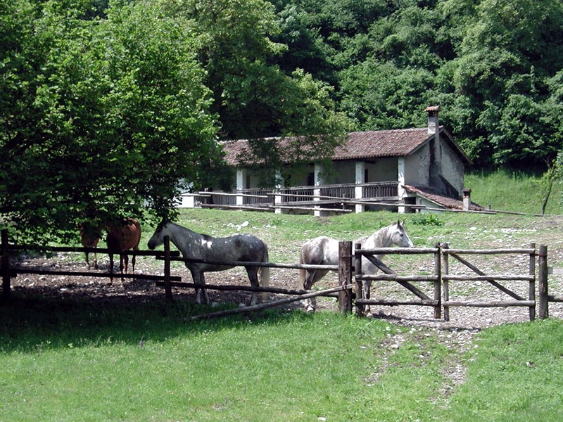 Fabbricato rurale a Salet, in Val Cordevole
